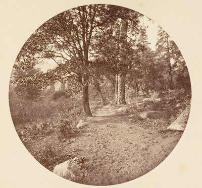 En el Valle de Yosemite de Carleton Emmons Watkins