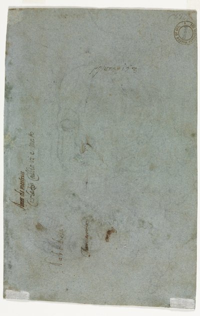 Boceto de la cabeza de un niño (verso) de Carletto Caliari