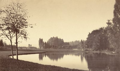 Bois de Boulogne, 1858 de Charles Marville