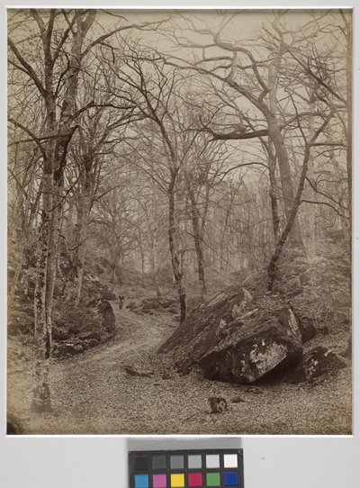 Fontainebleau, c.1870 (impresión a la albúmina) de Charles Victor Famin