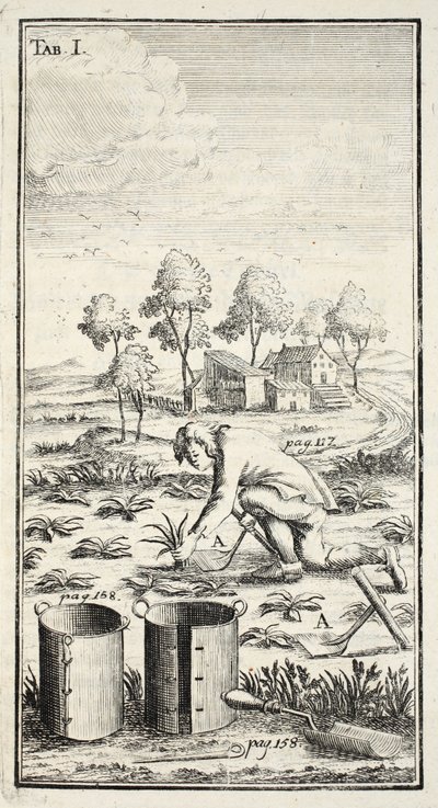 Jardinero cosechando, pub. Erfurt en Turingia, 1753-55 de Christian Reicharts