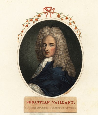 Retrato de Sebastian Vaillant, botánico francés de Claude Aubriet