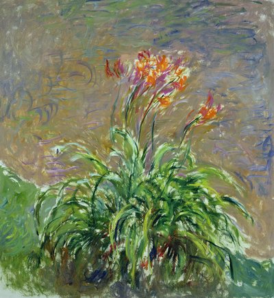 Hemerocallis de Claude Monet