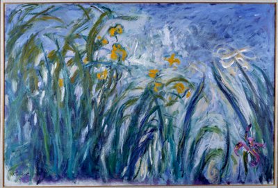 Iris de Claude Monet