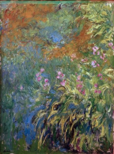 Iris de Claude Monet