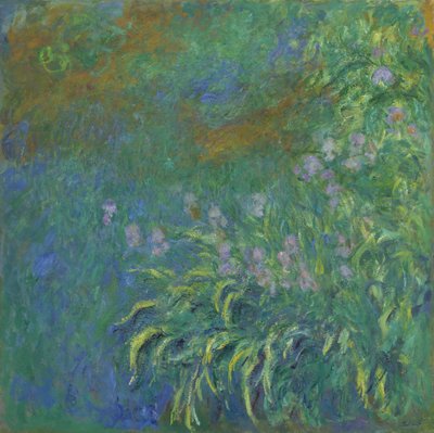 Iris de Claude Monet