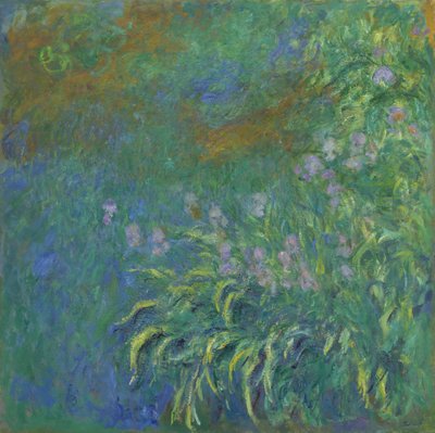 Iris, 1914 de Claude Monet