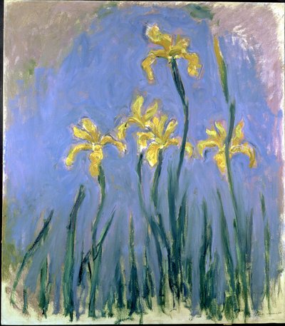 Los lirios amarillos, c.1918-25 de Claude Monet