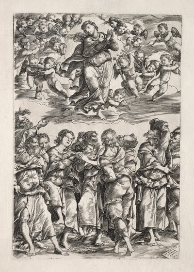 La Asunción de la Virgen, 1517 de Domenico Campagnola
