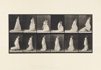 Placa 207. Tren de agacharse y levantar, 1885 de Eadweard Muybridge