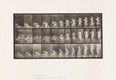 Placa 248. Sentado en el suelo de Eadweard Muybridge