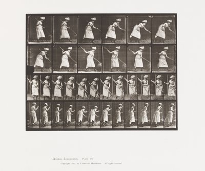 Placa 456. Rastrillando heno de Eadweard Muybridge