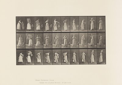 Placa 495. Fases misceláneas del aseo de Eadweard Muybridge