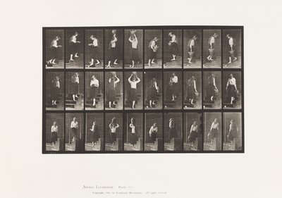 Placa 504. Subiendo y bajando escaleras de Eadweard Muybridge