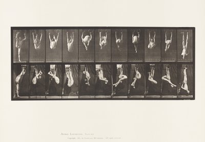 Placa 512. Contorsiones en Anillos de Eadweard Muybridge