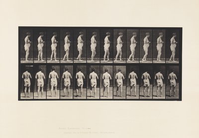 Placa 542. Esclerosis cerebroespinal múltiple - Caminando de Eadweard Muybridge