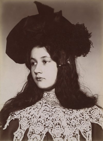 Denise Zola de Emile Zola