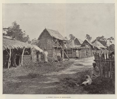 Un pueblo forestal en Madagascar de English Photographer