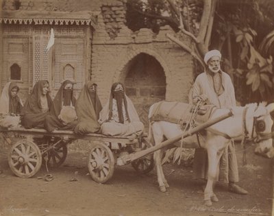 Carro tirado por caballos, El Cairo de English Photographer