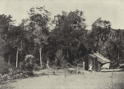 Cabaña del leñador, Knysna de English Photographer