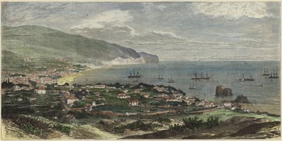 Bahía y ciudad de Funchal de English School