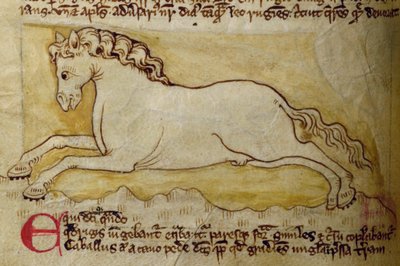 CCA-LitMs/D/10 fol. 10r Caballo, del Bestiario de English School