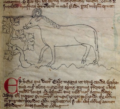 CCA-LitMs/D/10 fol. 4r Yale, del Bestiario de English School