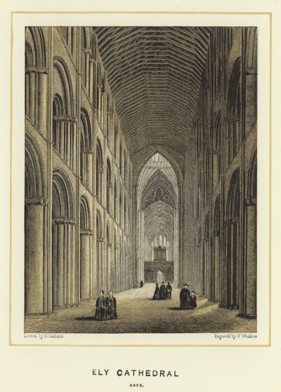 Catedral de Ely, nave de English School