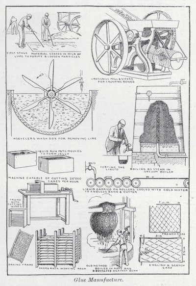 Fabricación de pegamento de English School