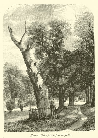 El Roble de Herne, justo antes de su caída de English School