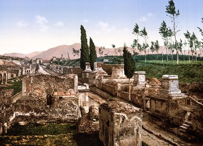 Vista de Pompeya de English School