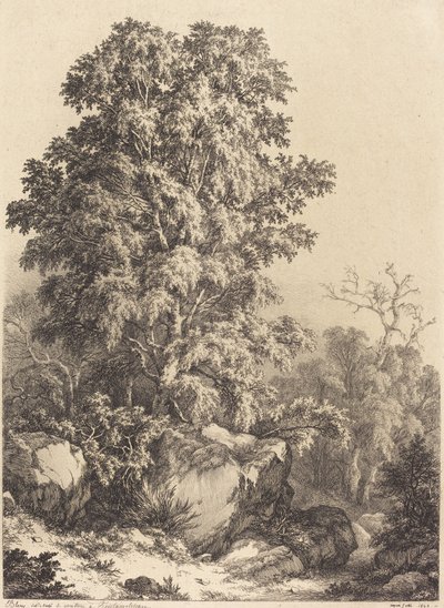 Bosque de hayas, 1840 de Eugene Bléry