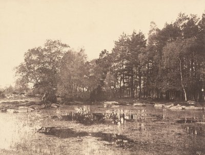 Pantano en Piat Belle-Croix Plateau, c. 1863 de Eugène Cuvelier