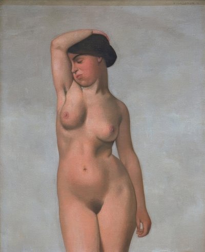 Desnudo femenino con brazo levantado de Felix Edouard Vallotton