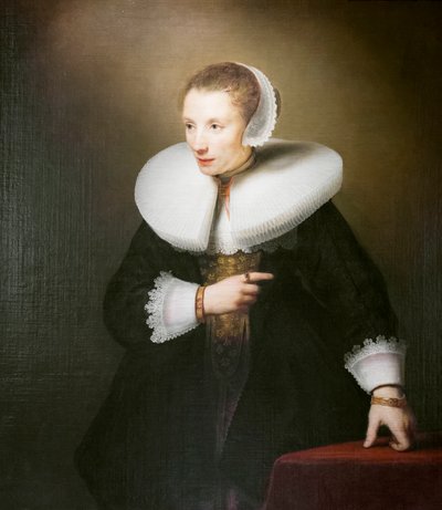 Retrato de una mujer desconocida de Ferdinand Bol