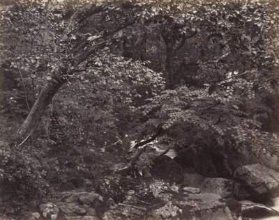 Glen en Lynmouth de Francis Bedford, Francis Frith