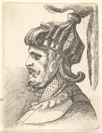 Cabeza con casco, 1662-78 de Francis Place