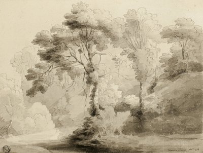 Paisaje Boscoso, 1774 de Francis Towne