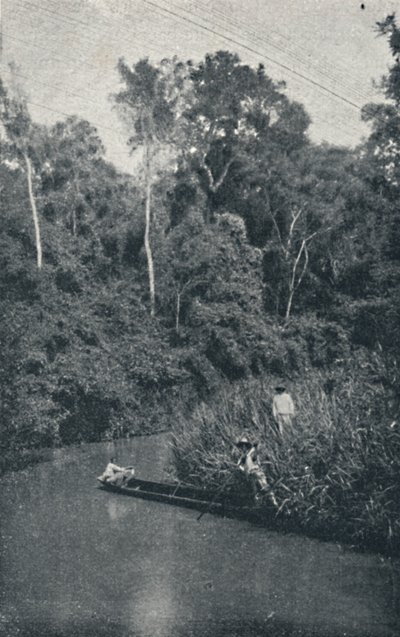 Río de S. Anastacio, 1895 de Francisco Henszler