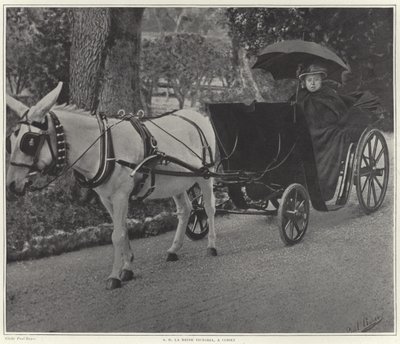 La Reina Victoria en Cimiez de French School