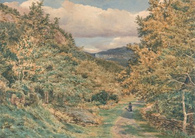 Una carretera cerca de Bettws-y-Coed de George Price Boyce