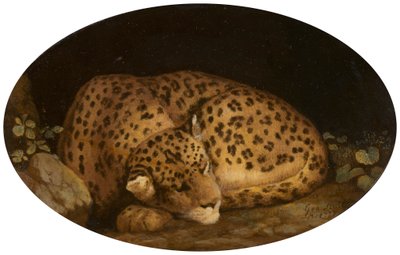 Leopardo dormido de George Stubbs