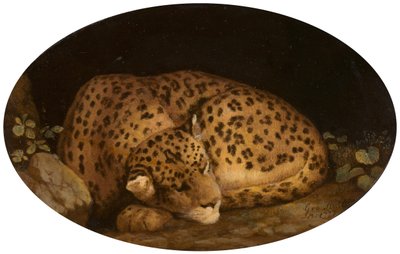 Leopardo durmiendo, 1777 de George Stubbs