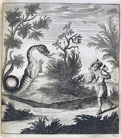 Un dragón temible, c.1660 de German School