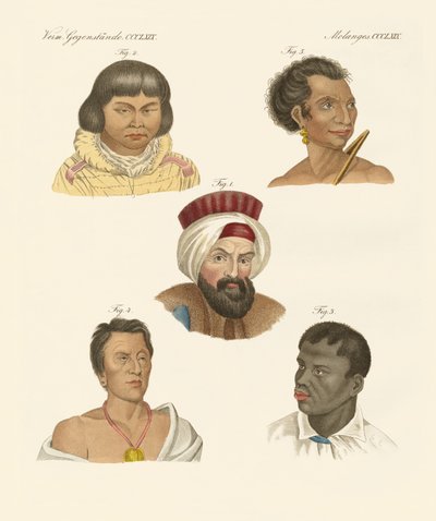 Ilustración de las principales razas humanas de German School