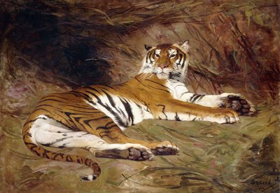 Un tigre reclinado de Gustave Surand