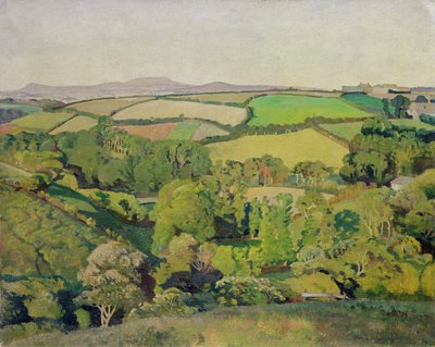 Drift Valley (óleo sobre lienzo) de Harold Harvey