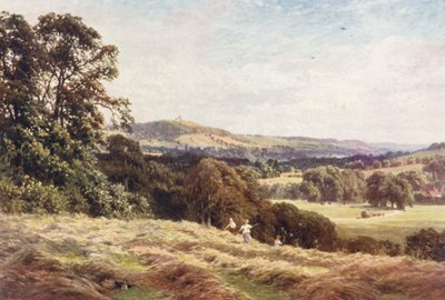 A Hayfield, Wonersh (litografía en color) de Harold Sutton Palmer