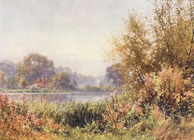 Autumn Weeds, Chilworth (litografía en color) de Harold Sutton Palmer