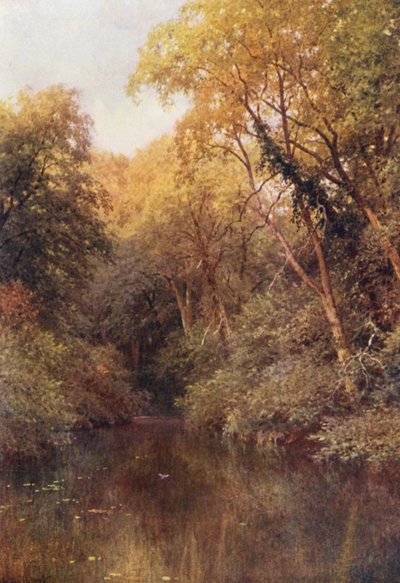 The Silent Pool, Albury (litografía en color) de Harold Sutton Palmer